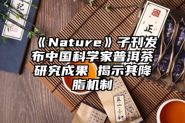 《Nature》子刊发布中国科学家普洱茶研究成果 揭示其降脂机制
