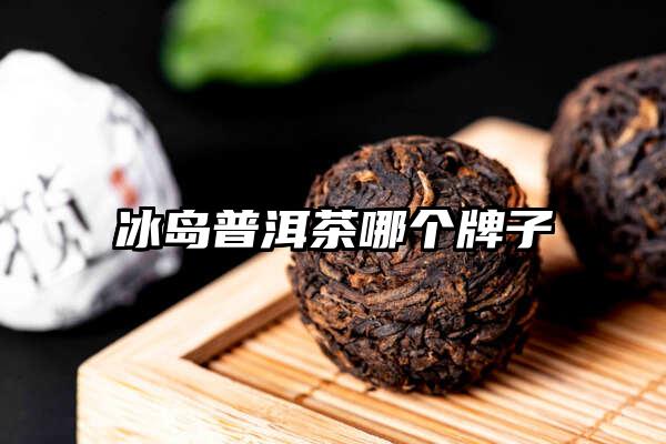 冰岛普洱茶哪个牌子