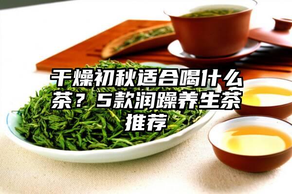 干燥初秋适合喝什么茶？5款润躁养生茶推荐