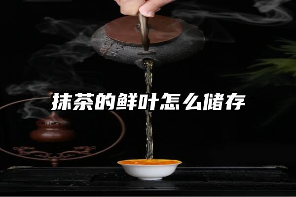 抹茶的鲜叶怎么储存