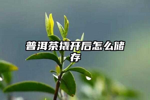 普洱茶撬开后怎么储存