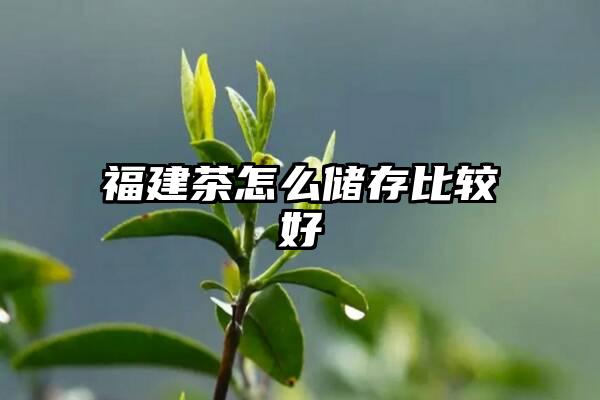 福建茶怎么储存比较好