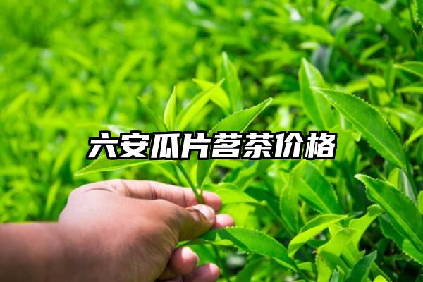 六安瓜片茗茶价格