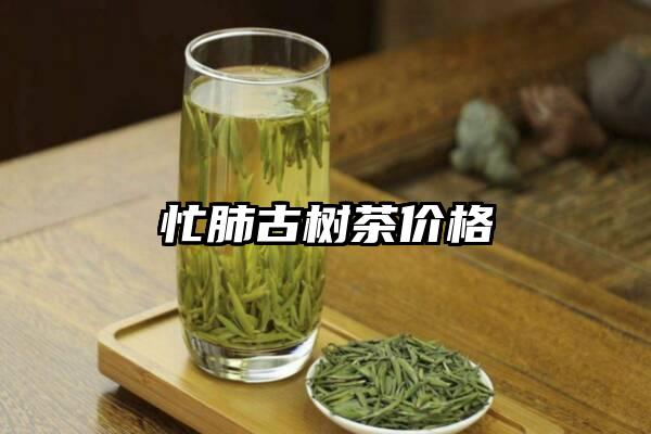 忙肺古树茶价格