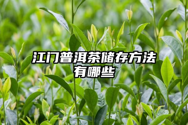 江门普洱茶储存方法有哪些