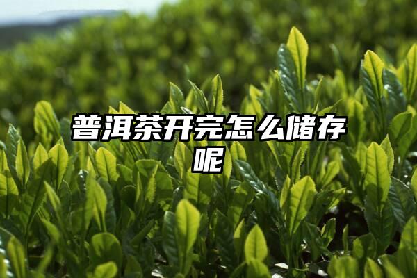 普洱茶开完怎么储存呢