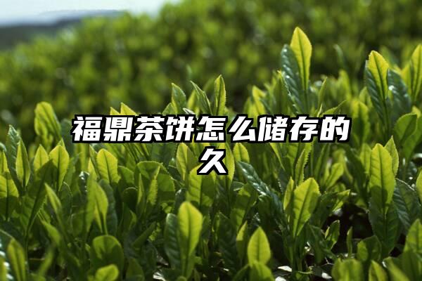 福鼎茶饼怎么储存的久