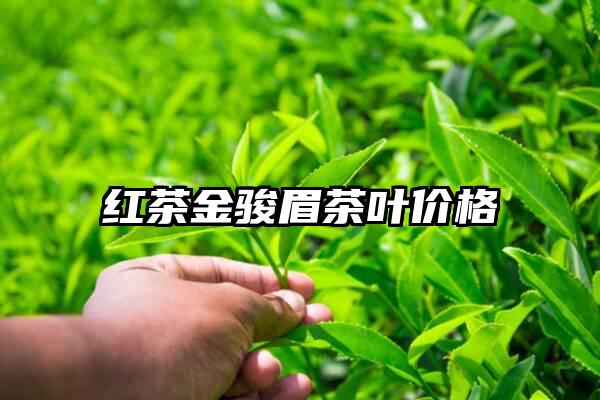 红茶金骏眉茶叶价格