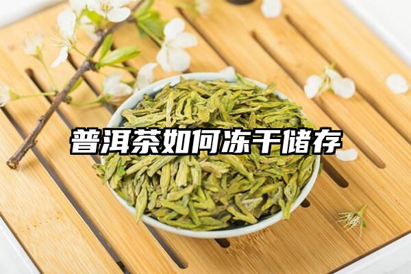 普洱茶如何冻干储存