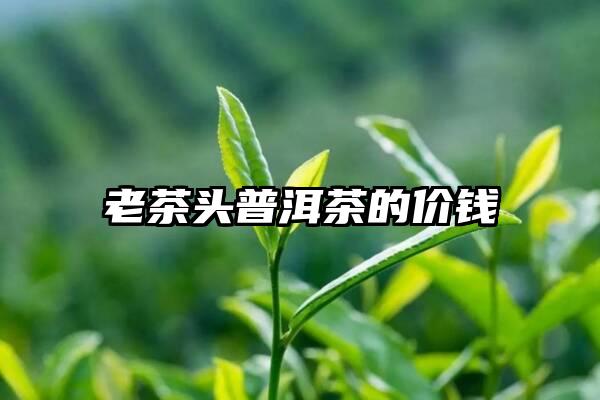 老茶头普洱茶的价钱