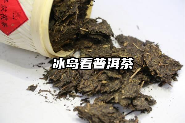 冰岛看普洱茶