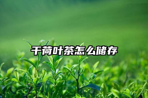 干荷叶茶怎么储存