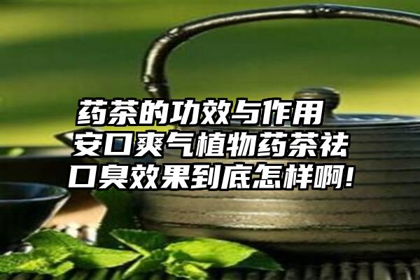 药茶的功效与作用 安口爽气植物药茶祛口臭效果到底怎样啊!