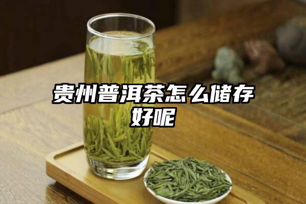 贵州普洱茶怎么储存好呢