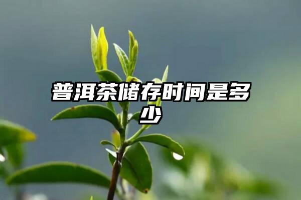 普洱茶储存时间是多少