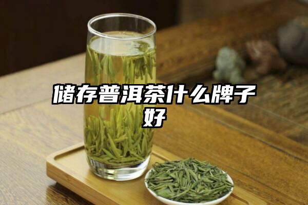 储存普洱茶什么牌子好