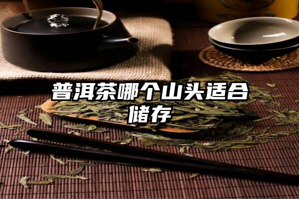 普洱茶哪个山头适合储存