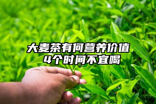 大麦茶有何营养价值 4个时间不宜喝