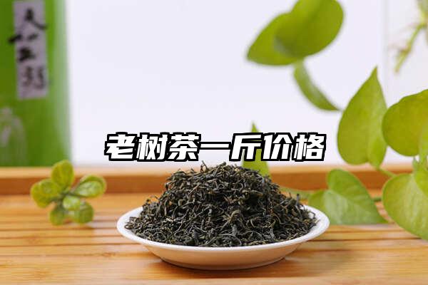 老树茶一斤价格