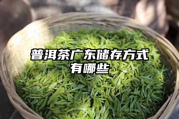 普洱茶广东储存方式有哪些