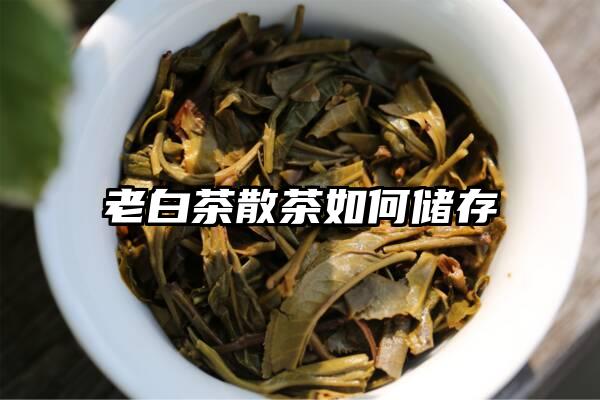 老白茶散茶如何储存