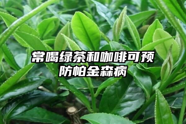 常喝绿茶和咖啡可预防帕金森病