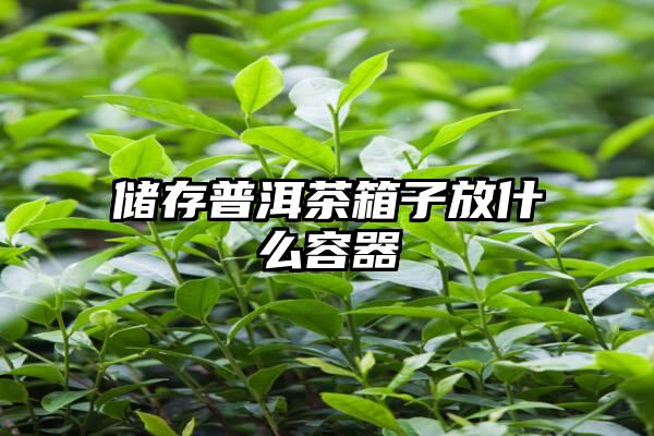 储存普洱茶箱子放什么容器