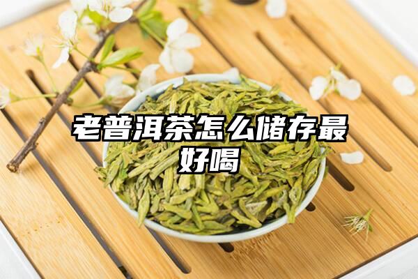 老普洱茶怎么储存最好喝