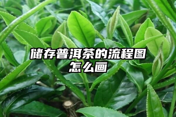 储存普洱茶的流程图怎么画