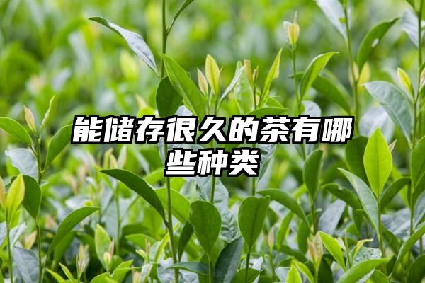 能储存很久的茶有哪些种类