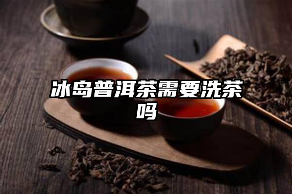 冰岛普洱茶需要洗茶吗