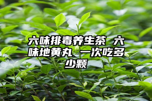 六味排毒养生茶 六味地黄丸 一次吃多少颗