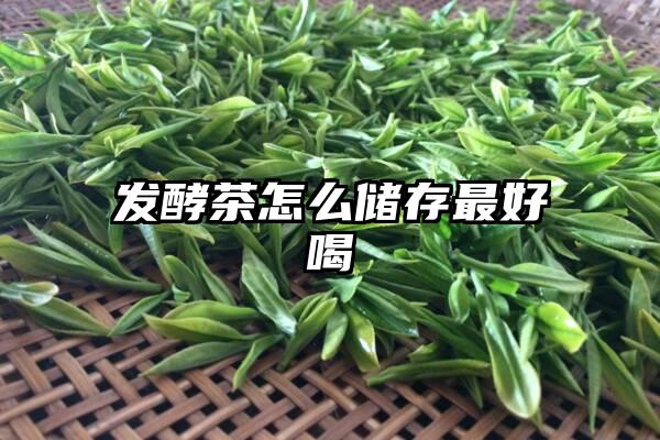 发酵茶怎么储存最好喝