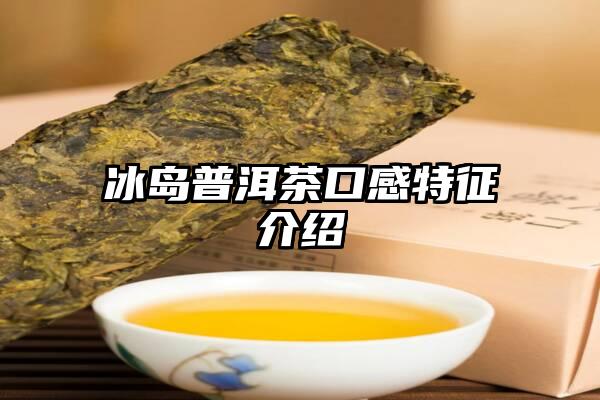 冰岛普洱茶口感特征介绍