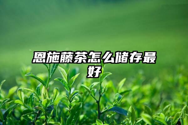 恩施藤茶怎么储存最好