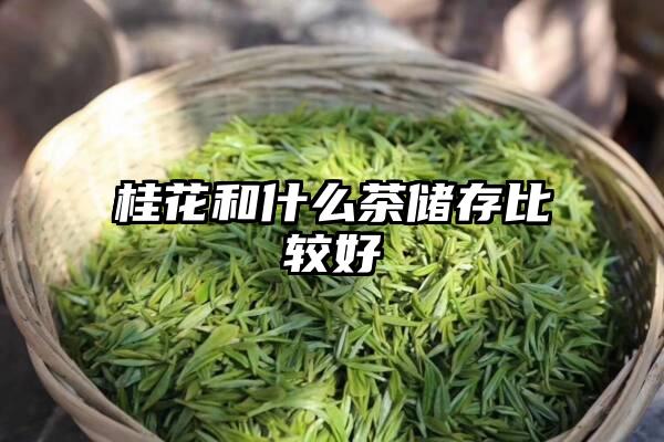 桂花和什么茶储存比较好