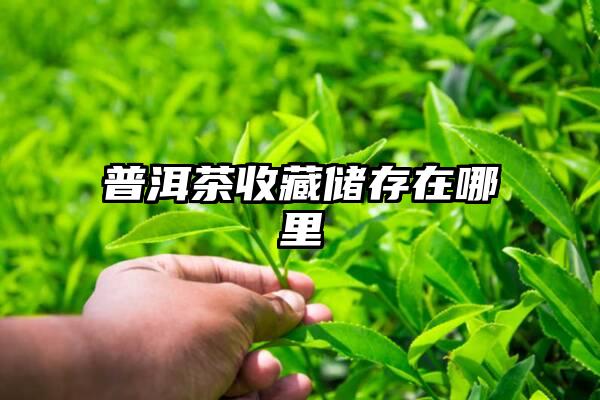 普洱茶收藏储存在哪里