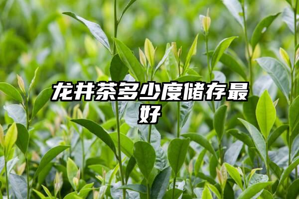 龙井茶多少度储存最好