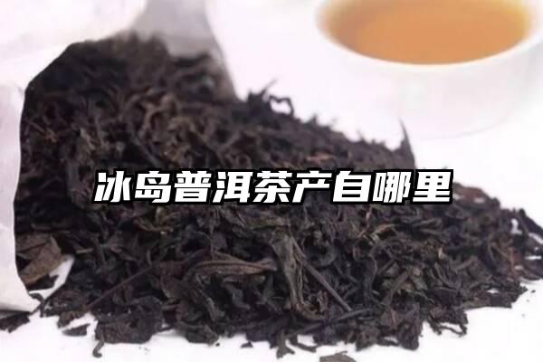 冰岛普洱茶产自哪里