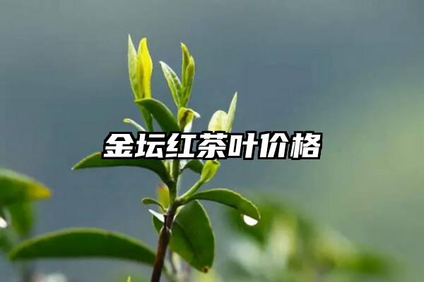 金坛红茶叶价格