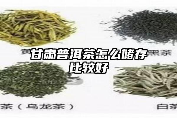 甘肃普洱茶怎么储存比较好