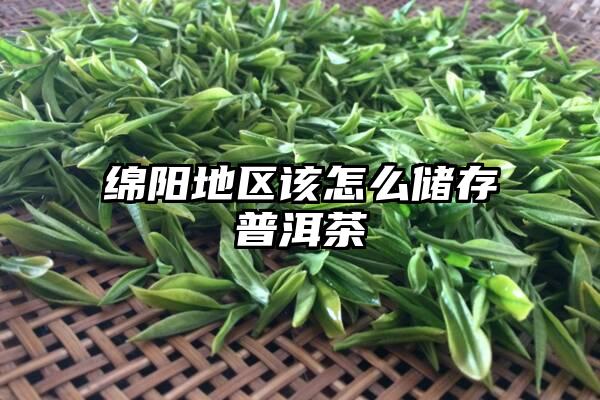 绵阳地区该怎么储存普洱茶