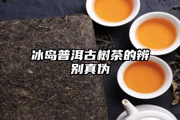 冰岛普洱古树茶的辨别真伪