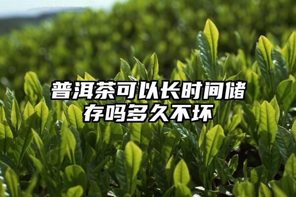 普洱茶可以长时间储存吗多久不坏