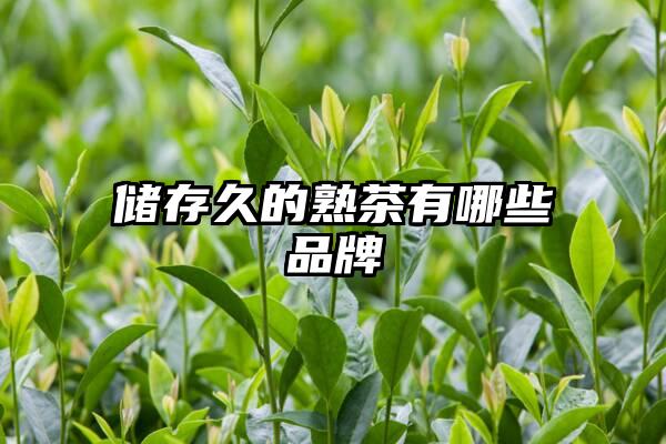 储存久的熟茶有哪些品牌