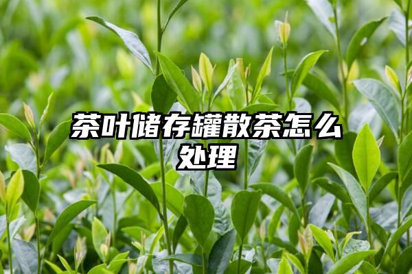 茶叶储存罐散茶怎么处理