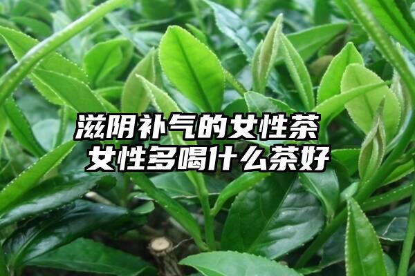 滋阴补气的女性茶 女性多喝什么茶好