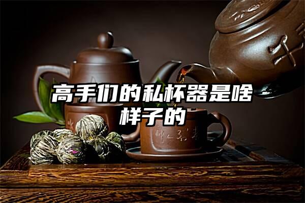 高手们的私杯器是啥样子的