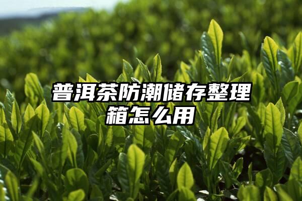 普洱茶防潮储存整理箱怎么用