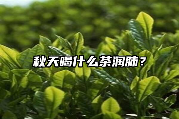 秋天喝什么茶润肺？